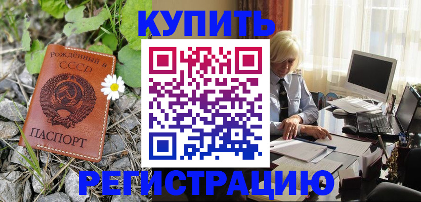 временная регистрация поиск в Камне-на-Оби